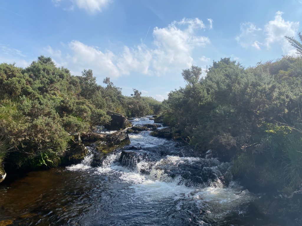 Full river dartmoor